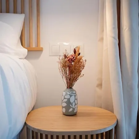 Apartment Lofts Plaza Jm Orense B